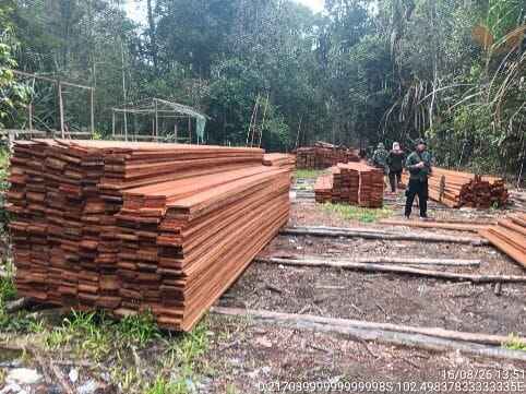 Kemenhut Bongkar Pembalakan Liar di SM Kerumutan, 6 Orang Tersangka Kemenhut Bongkar Pembalakan Liar di SM Kerumutan, 6 Orang Tersangka