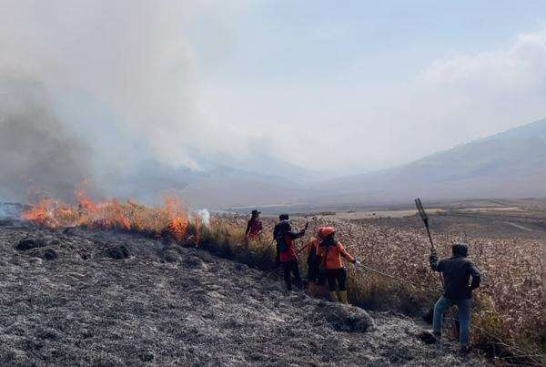 BNPB: 4 Petugas Gugur saat Padamkan Karhutla Bromo BNPB: 4 Petugas Gugur saat Padamkan Karhutla Bromo