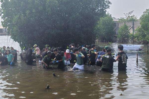 Ratusan Pelajar Antusias Ikut Tanam Mangrove dan Bersih Pantai di Marunda Jakut Ratusan Pelajar Antusias Ikut Tanam Mangrove dan Bersih Pantai di Marunda Jakut
