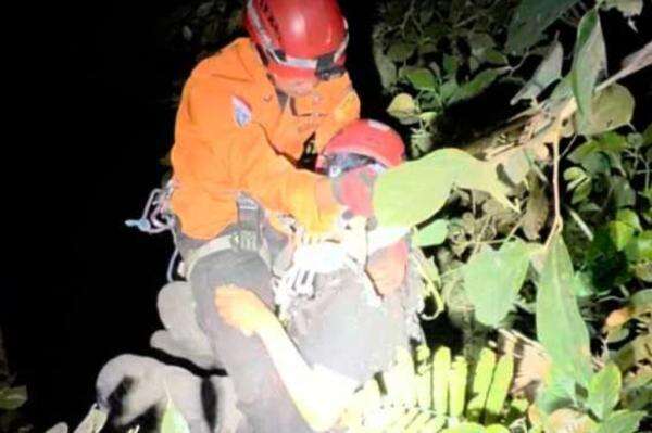 Susuri Hutan Curug Lawe demi Dokumentasikan Reptil, Pemuda Ini Jatuh ke Jurang 40 Meter Susuri Hutan Curug Lawe demi Dokumentasikan Reptil, Pemuda Ini Jatuh ke Jurang 40 Meter