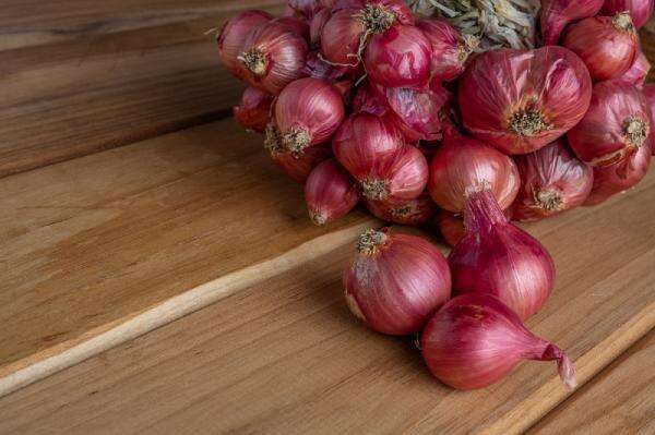 Benarkah Bawang Merah Bisa Redakan Demam Anak? Dokter Ungkap Faktanya Benarkah Bawang Merah Bisa Redakan Demam Anak? Dokter Ungkap Faktanya