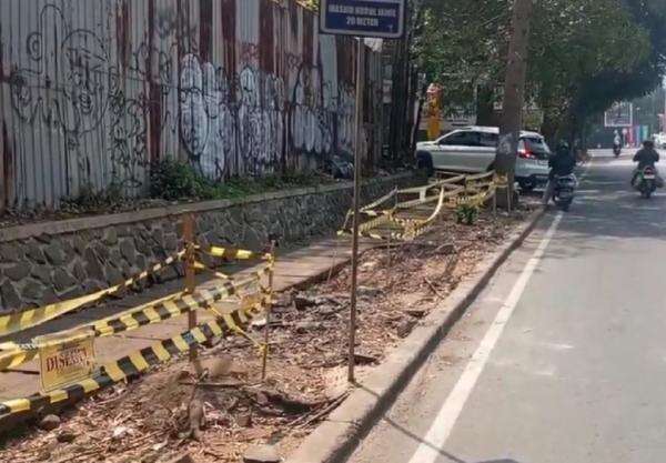 35 Pohon Ditebang OTK, Wali Kota Bandung akan Proses Hukum Pelaku 35 Pohon Ditebang OTK, Wali Kota Bandung akan Proses Hukum Pelaku