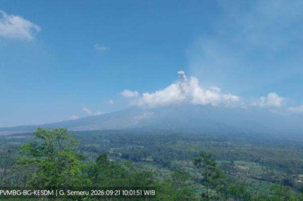 Erupsi Gunung Semeru Pagi Ini, Kolom Abu Menjulang 500 Meter Erupsi Gunung Semeru Pagi Ini, Kolom Abu Menjulang 500 Meter
