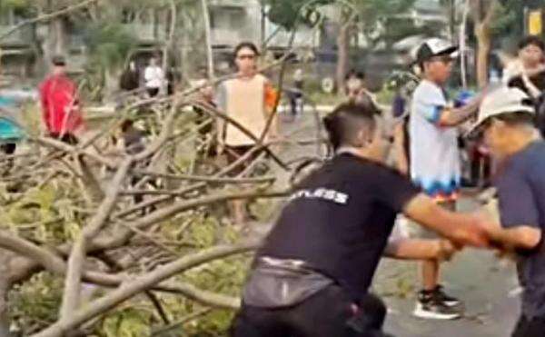Viral Pohon Tumbang di Summarecon Bekasi, 2 Orang Tertimpa Viral Pohon Tumbang di Summarecon Bekasi, 2 Orang Tertimpa