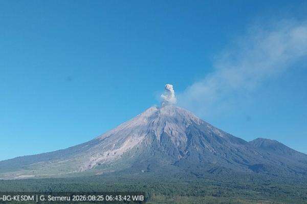 Gunung Semeru Meletus Pagi Ini, Kolom Abu Membubung Setinggi 500 Meter Gunung Semeru Meletus Pagi Ini, Kolom Abu Membubung Setinggi 500 Meter
