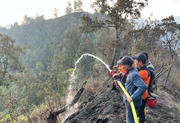 Karhutla Kepung 4 Gunung Jatim, Bromo hingga Argopuro Masih Terpantau Asap Karhutla Kepung 4 Gunung Jatim, Bromo hingga Argopuro Masih Terpantau Asap