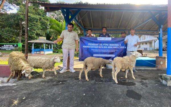 PTPN I Regional 5 Berbagi Kebahagiaan Idul Adha, Salurkan 11 Kambing Kurban PTPN I Regional 5 Berbagi Kebahagiaan Idul Adha, Salurkan 11 Kambing Kurban