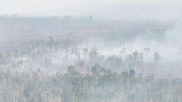 Karhutla Melanda, BNPB Perkuat Satgas Udara dan Water Bombing di 6 Provinsi Karhutla Melanda, BNPB Perkuat Satgas Udara dan Water Bombing di 6 Provinsi