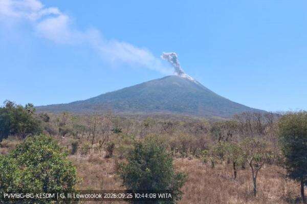 Gunung Ili Lewotolok di NTT Erupsi, Kolom Abu Capai 700 Meter Gunung Ili Lewotolok di NTT Erupsi, Kolom Abu Capai 700 Meter