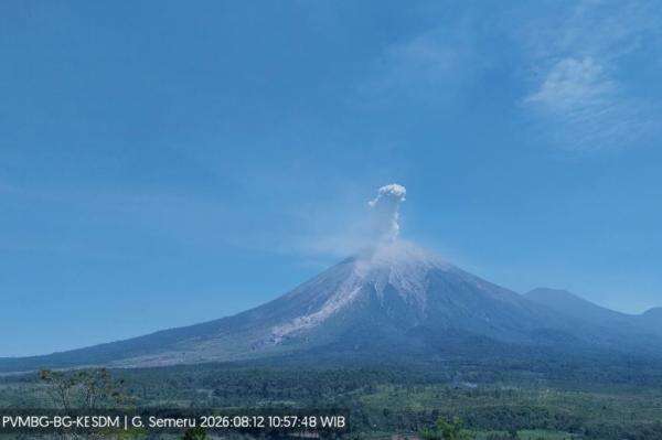 Gunung Semeru Meletus, Kolom Abu Membubung Setinggi 1,1 Km ke Langit Gunung Semeru Meletus, Kolom Abu Membubung Setinggi 1,1 Km ke Langit