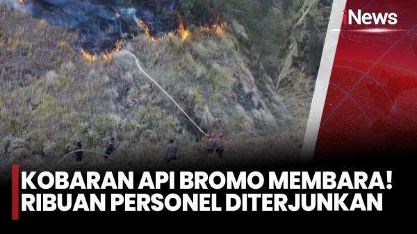 Kebakaran Gunung Bromo Meluas Hingga 921 Hektare, 1.500 Petugas Gabungan dan Helikopter Dikerahkan Kebakaran Gunung Bromo Meluas Hingga 921 Hektare, 1.500 Petugas Gabungan dan Helikopter Dikerahkan
