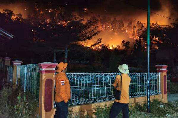 BNPB Catat Karhutla Baru di 3 Provinsi, Luas Lahan Terbakar Capai 37,5 Hektare BNPB Catat Karhutla Baru di 3 Provinsi, Luas Lahan Terbakar Capai 37,5 Hektare