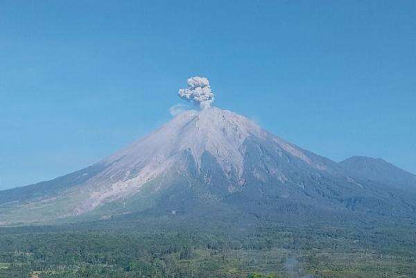 Gunung Semeru Erupsi 11 Kali Hari Ini, Kolom Abu Vulkanik Tertinggi 900 Meter Gunung Semeru Erupsi 11 Kali Hari Ini, Kolom Abu Vulkanik Tertinggi 900 Meter