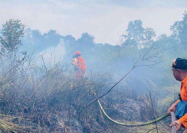 Karhutla Makin Meluas Sampai Kawasan Transmigrasi, Ini Respons Mentrans Karhutla Makin Meluas Sampai Kawasan Transmigrasi, Ini Respons Mentrans