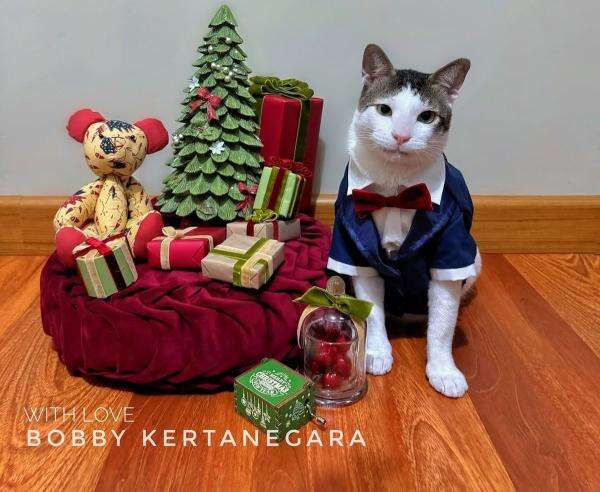 Gaya Bobby Kertanegara Jalani Pemotretan dengan Tema Natal, Gemas Banget!