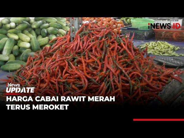 Duh! Harga Cabai Rawit di Pasar Gudang Tigaraksa Tangerang Tembus Rp150.000 per Kg Duh! Harga Cabai Rawit di Pasar Gudang Tigaraksa Tangerang Tembus Rp150.000 per Kg