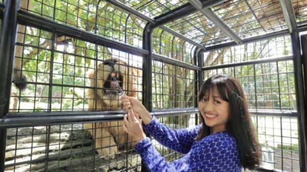 Harga Tiket Masuk Taman Safari Prigen: Simak Rute dan Jam Operasionalnya untuk Berpetualang! Harga Tiket Masuk Taman Safari Prigen: Simak Rute dan Jam Operasionalnya untuk Berpetualang!