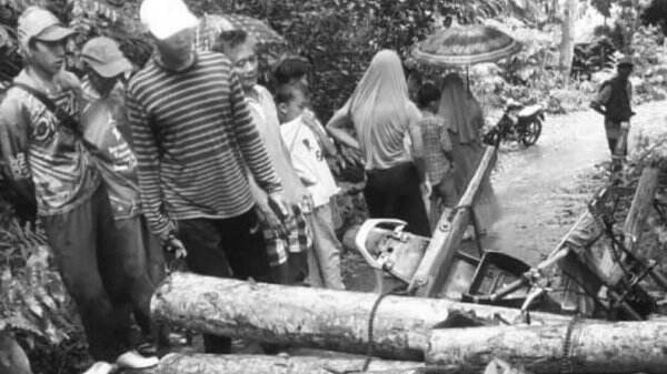 Kecelakaan Tunggal Di Tanggamus Pemotor Tewas Tertimpa Muatan Kayu