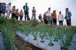 Ketahanan Pangan, Kementan-IsDB Dan IFAD Kembangkan Pertanian Dataran ...