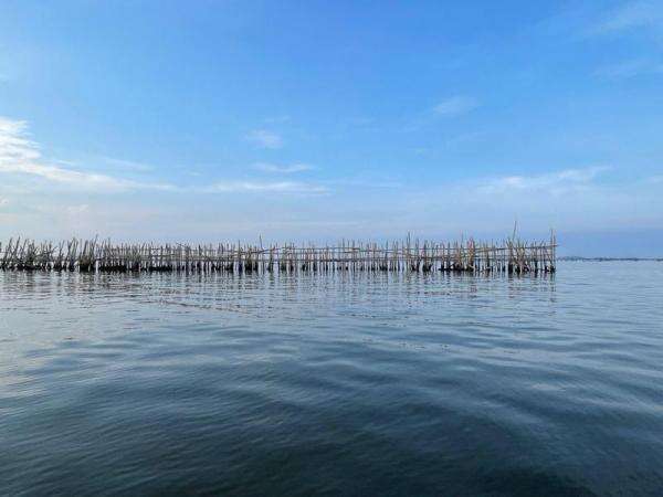 Pekerjaan 500 Meter Pagar Laut Dekat Pulau C Sudah Dihentikan, Siapa Pemiliknya?