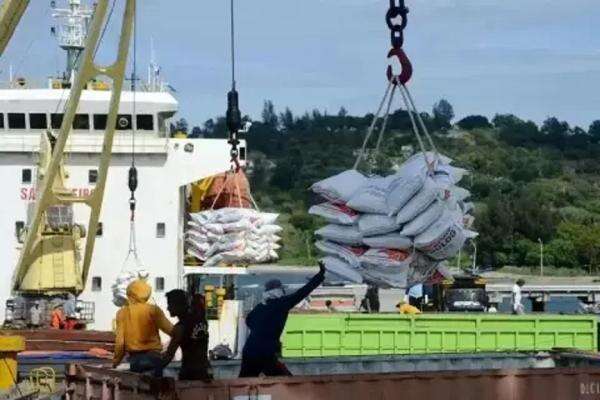 Pemerintah Didesak Perketat Pengawasan dan Perizinan Impor Beras Pemerintah Didesak Perketat Pengawasan dan Perizinan Impor Beras