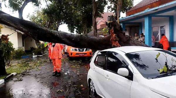 Hujan Lebat dan Angin Kencang Terjang Mojokerto, Pohon Tumbang hingga Mobil Ringsek Hujan Lebat dan Angin Kencang Terjang Mojokerto, Pohon Tumbang hingga Mobil Ringsek
