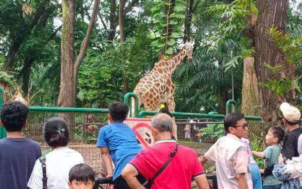 Libur Paskah, Pengunjung Taman Margasatwa Ragunan Nyaris Tembus 20.00 Orang Libur Paskah, Pengunjung Taman Margasatwa Ragunan Nyaris Tembus 20.00 Orang
