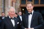 Raja Charles III Didesak Coret Pangeran Harry dari Surat Wasiat Raja Charles III Didesak Coret Pangeran Harry dari Surat Wasiat