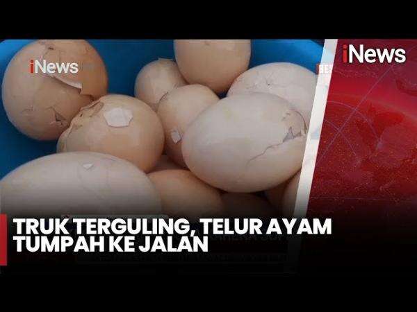 Warga Berebut Selamatkan Telur Ayam dari Truk Muatan yang Terguling Warga Berebut Selamatkan Telur Ayam dari Truk Muatan yang Terguling