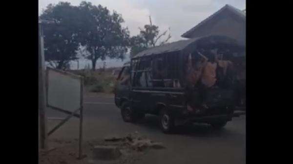 Viral Video Bocah SD di Pamekasan Nyetir Mobil Pikap Bawa Puluhan Teman Pulang Sekolah Viral Video Bocah SD di Pamekasan Nyetir Mobil Pikap Bawa Puluhan Teman Pulang Sekolah