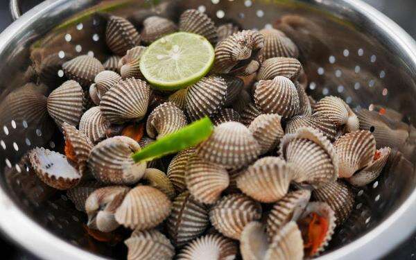 Waspada! Risiko Konsumsi Kerang saat Hamil, Ini Kata Dokter