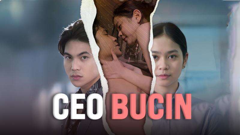 CEO Bucin
