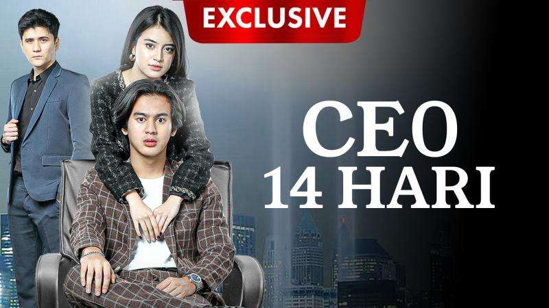 CEO 14 Hari