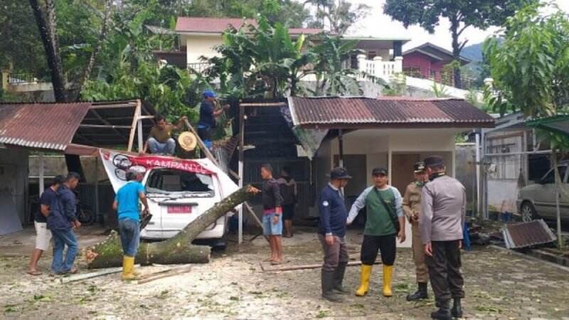 Pohon Tumbang Hantam Ambulan Puskesmas Pasa Ahad