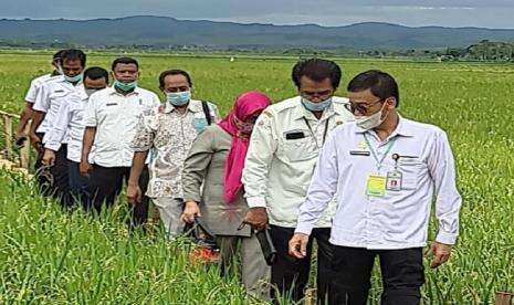 IPDMIP Dukung Kementan Gelar Workshop Penyuluh