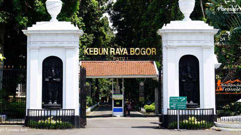 Lompat Pagar Coba Susupi Istana Kediaman Jokowi, Pria di Bogor Ditangkap Tentara dan Paspampres