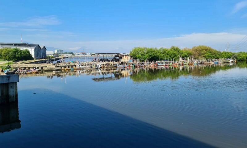 Bangun Tol Semarang-Demak, 3 Kawasan Mangrove Direlokasi