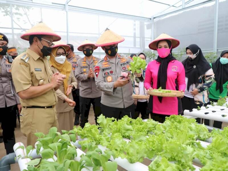 Wali Kota Makassar - Kapolda Sulsel Panen Perdana di Rumah Bibit Bhayangkari