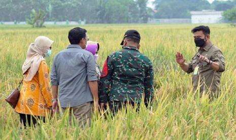 9.514 Penyuluh Pertanian Jadi ASN, Mentan: Peran Anda Vital