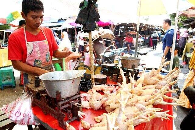 Harga Pakan Naik Hampir 30 Persen, Harga Daging Ayam jadi Rp 40 Ribuan