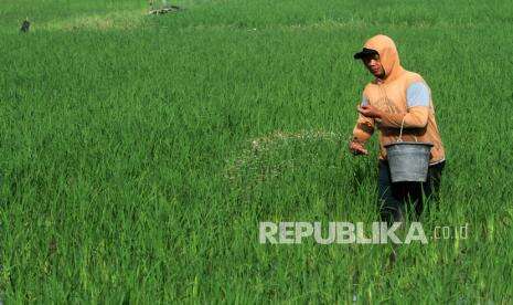 KTNA: Bukan Hilang, Kuota Pupuk Bersubsidi Terbatas