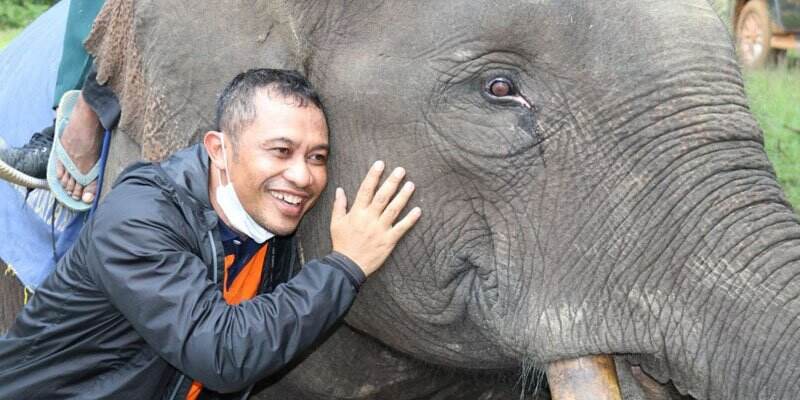Nikmati Sensasi Menunggang Gajah Sarma