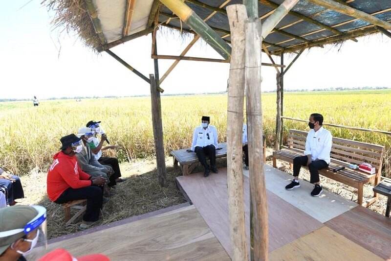 Jokowi Dikeluhkan Petani soal Pupuk Subsidi Sering Hilang, Sulit Dicari