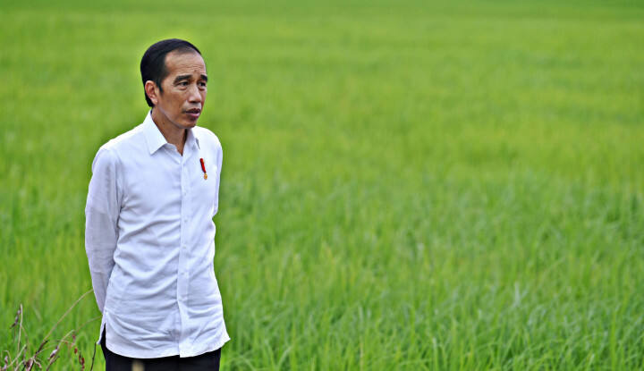 Jokowi Tegaskan Tidak Impor Beras Hingga Akhir Tahun