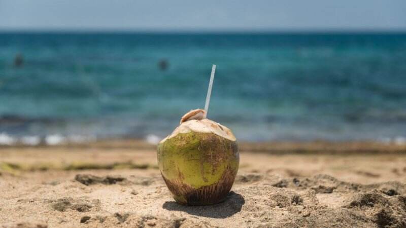 Suka Minum Air Kelapa? Ini Dampak Negatifnya Kalau Konsumsi Terlalu Banyak, Kamu Bisa...