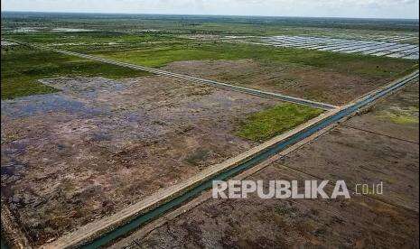 In Picture: Target Pengembangan Food Estate di Kalteng