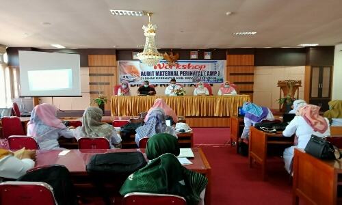 Dinkes Kabupaten Padang Pariaman Selenggarakan Workshop AMP