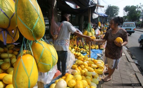 Timun Suri Jadi Favorit Menu Buka Puasa, Yuk Ketahui 5 Manfaatnya