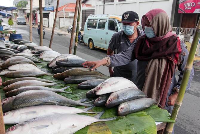 Indonesia Pasok 10 Persen Ikan di Dunia, Tapi Konsumsinya Masih Rendah
