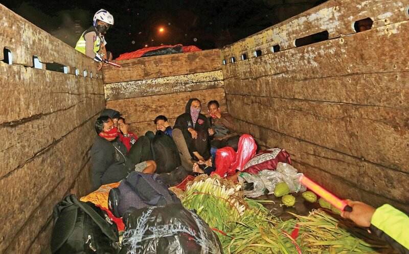 Pemudik Nebeng Truk Sayur Bayar Rp 70 Ribu, Eh Ketahuan Juga